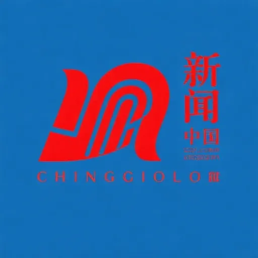 中国网